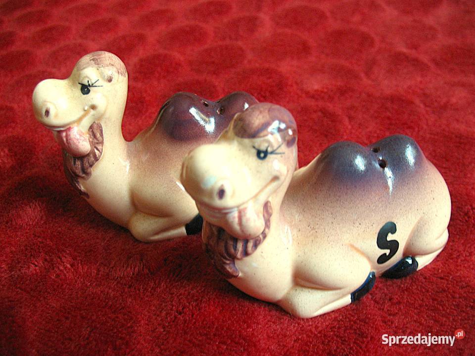 Sól i pieprz wielbłądy 6 x 8 x 4 Solniczka i Siedlce