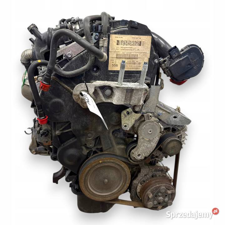 SILNIK Y6 Y650 Y655 Mazda3 Mazda 3 II Mazda 5 16 Chełm