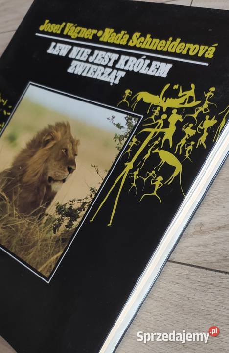 Album Lew nie jest królem zwierząt Gdańsk