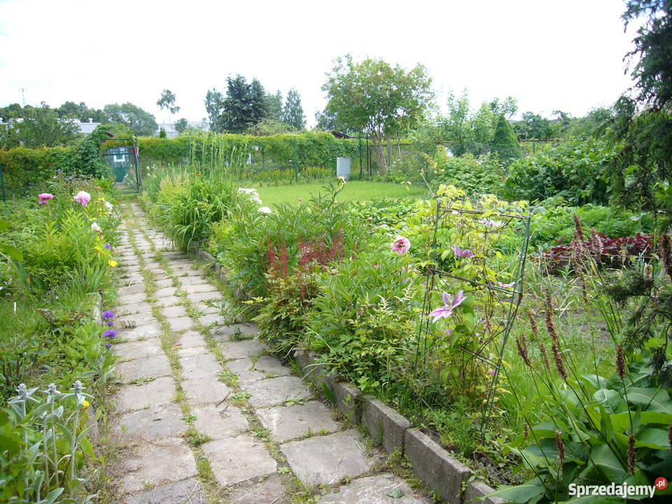 Działka Olsztyn 4 ary Olsztyn