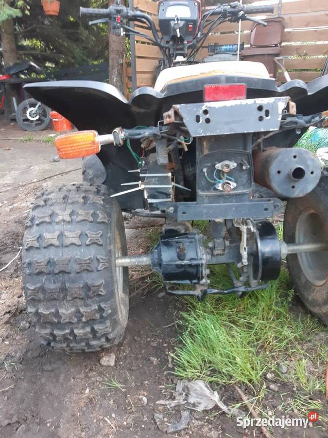 Kingway Alpinus napęd wał kardana 200 CC śląskie