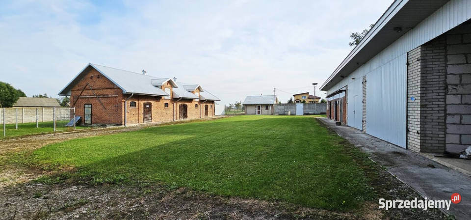 Budynki gospodarcze z dużą działką Kolonia Gołąb lubelskie Gołąb-Kolonia