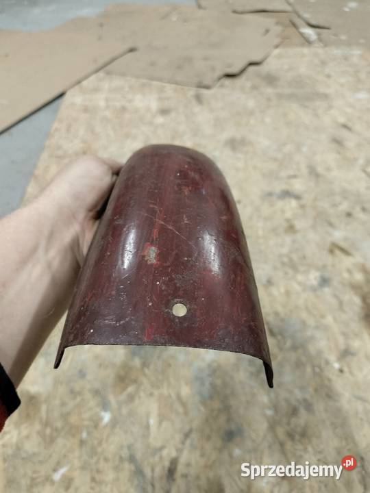 Komar błotnik przedni małopolskie Rozkochów