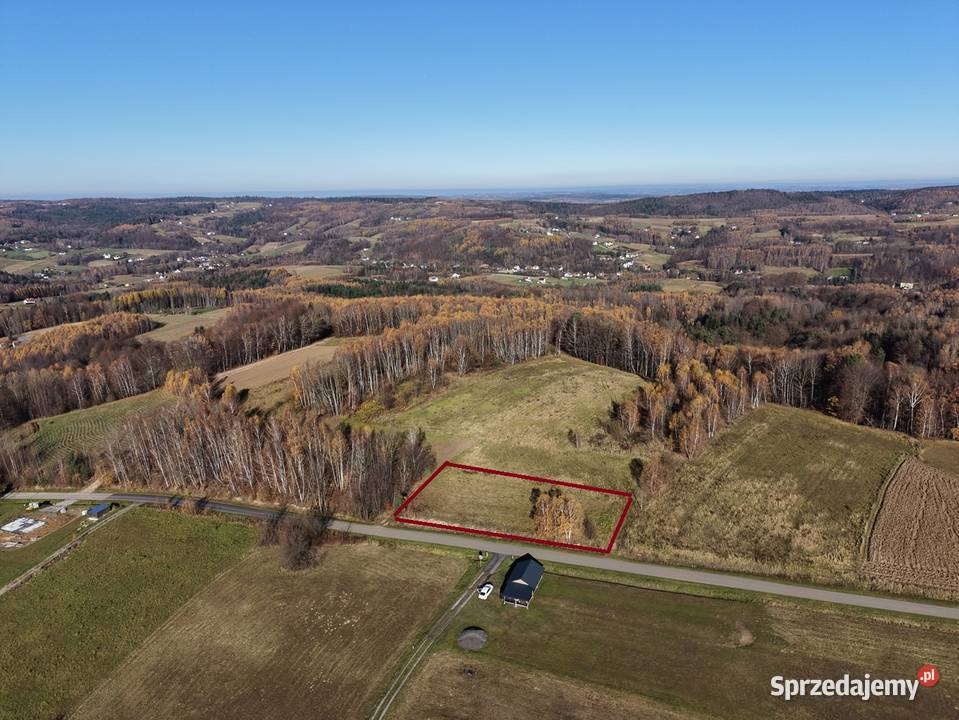 Widokowa działka Katy Luteckie Sprzedaż Lutcza