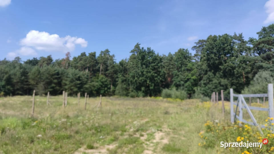 Działka budowlana przylesie z waunkami zabudowy