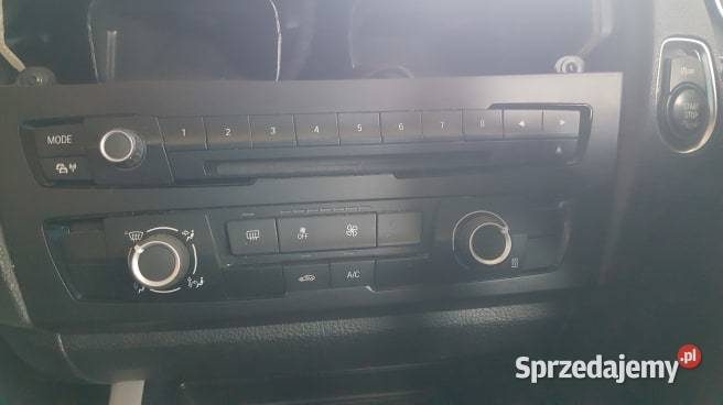 BMW F20 radio