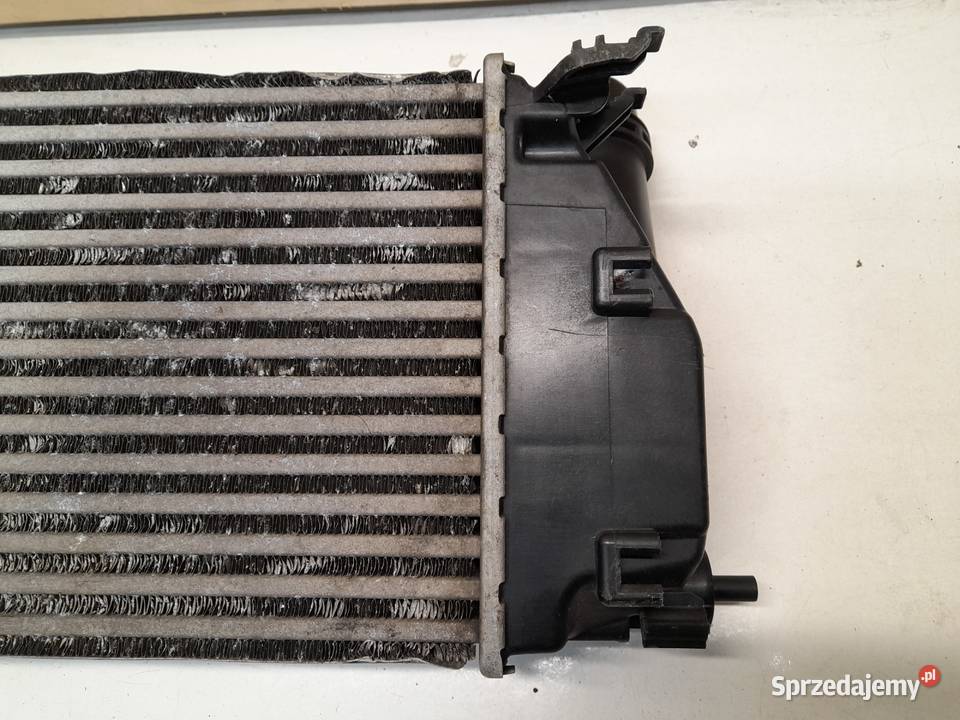 INTERCOOLER MEGANE TALISMAN KADJAR QASHQAI zachodniopomorskie Goleniów