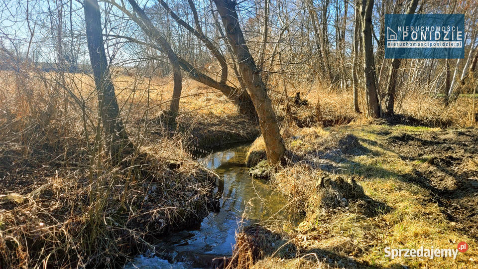 Działka budowlana strumykiem Zborów SolecZdrój Solec-Zdrój