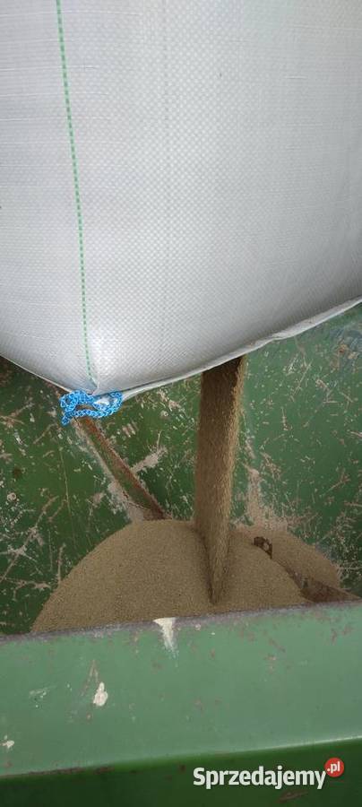 Rozsiewacz amazone zaf 803 łódzkie Wola Krzysztoporska