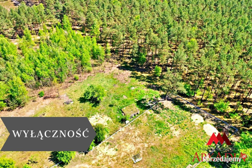 sprzedaży gruntu Kosinowo 2084m2 kujawsko-pomorskie