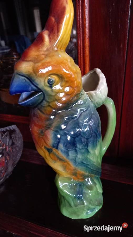 Dzbanekkonefka Papuga Warszawa