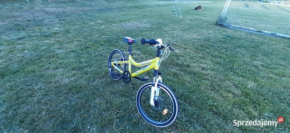 Rower aluminowy Karbon Elements 20 Dziecięce Bytnik