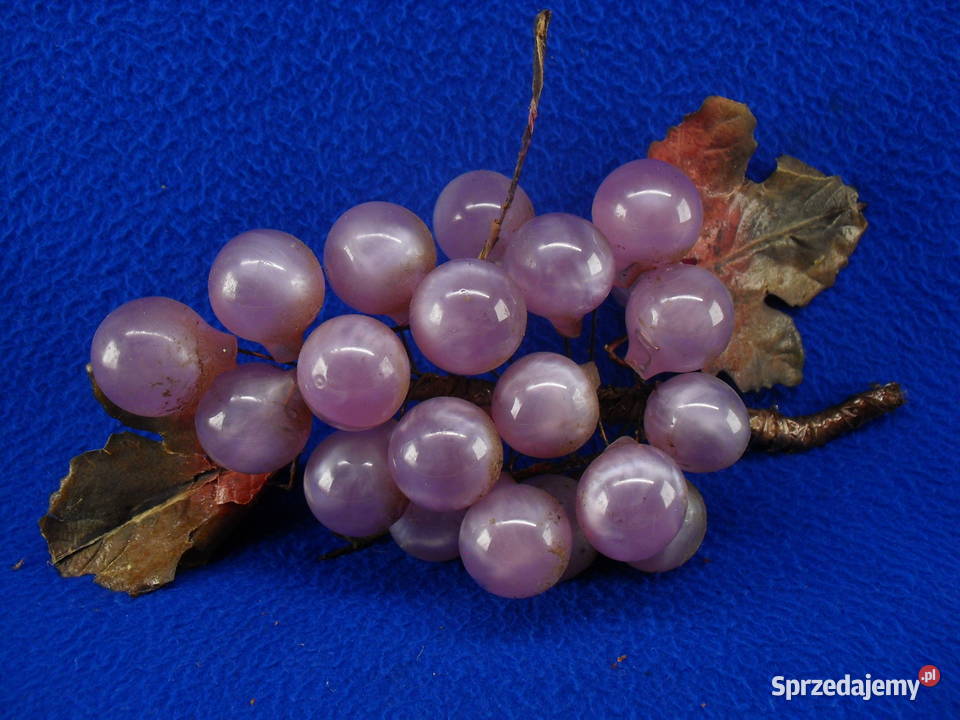 WINOGRONA DO DEKORACJI dolnośląskie Bielawa