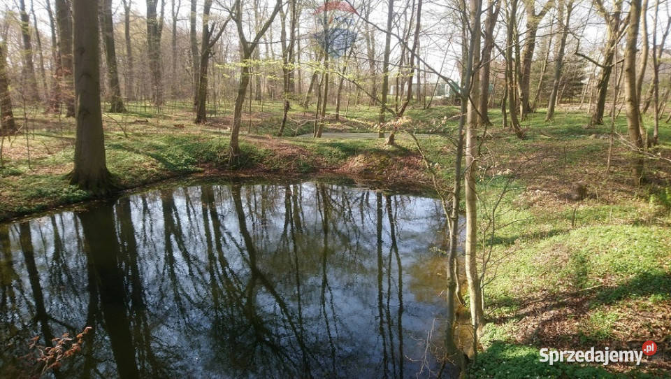 11 ha drodze S6S11 20 min do Kołobrz handlowo-usługowa