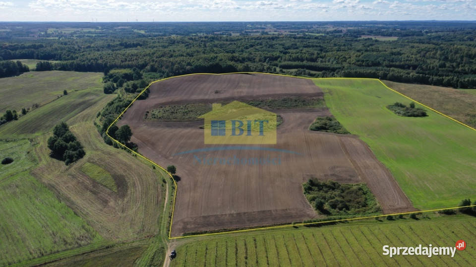 Działka rolna 199 ha Łabędzie gm Drawsko Pom sprzedam