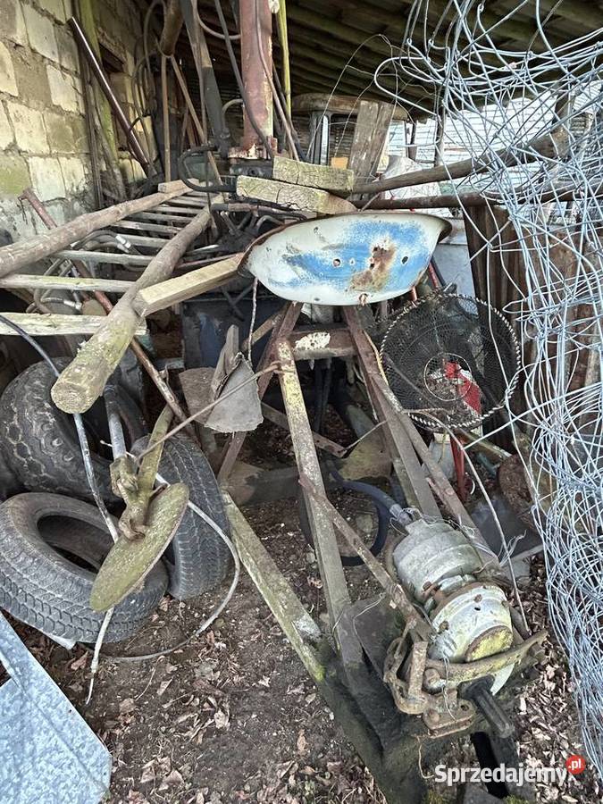 Cyklop nieuszkodzony Łozice