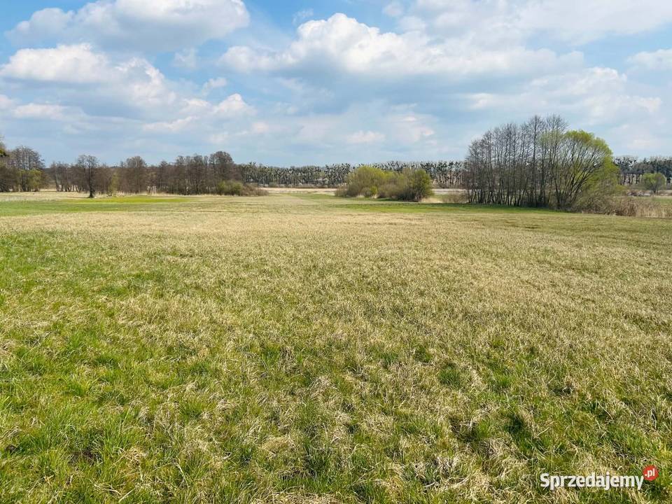 Działka budowlana z dostępem do rzeki 119ha Wrzeszewo sprzedam