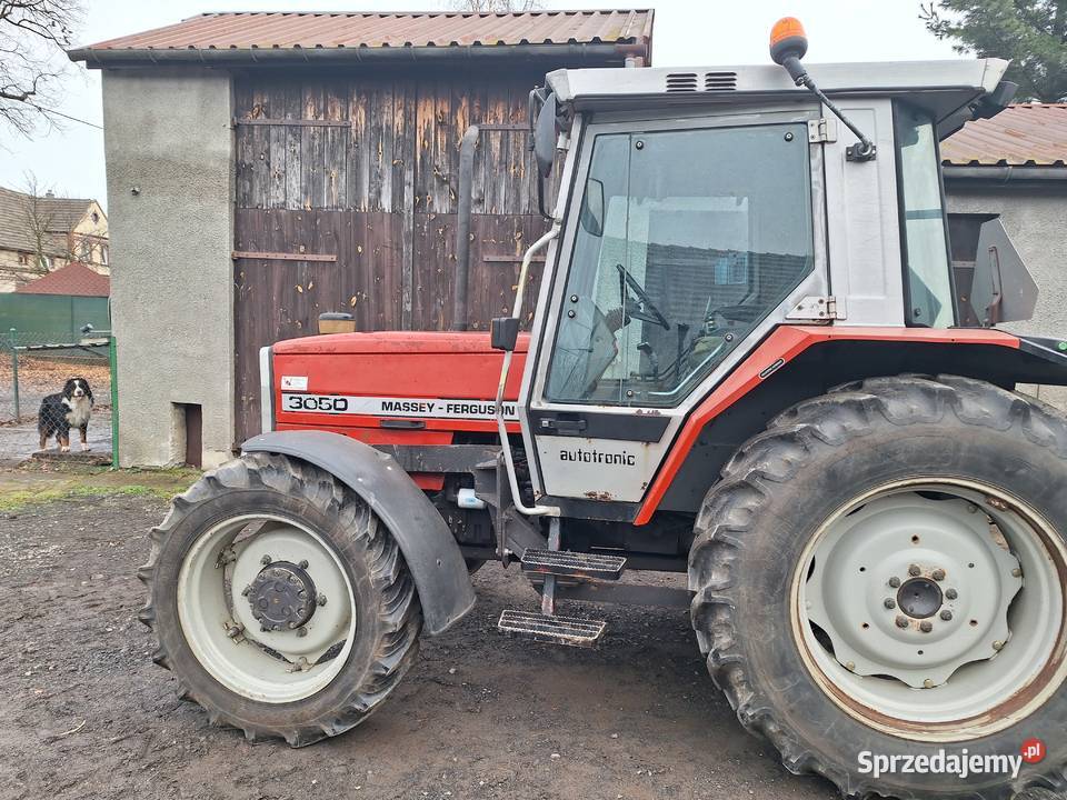 Massey Ferguson 3050 z turem Nowogrodziec