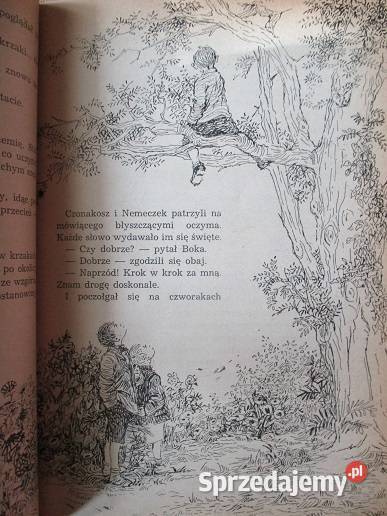 Chłopcy z Placu Broni FMolnar 1955literatura Łódź