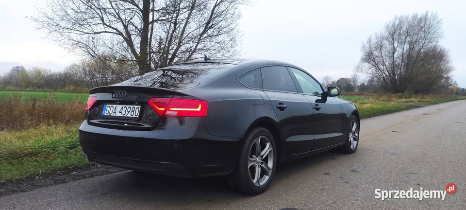 BLACK A5 SPORTBACK 20 TDI 190 BIXENON RADAR 2 A5 Suchy Dąb