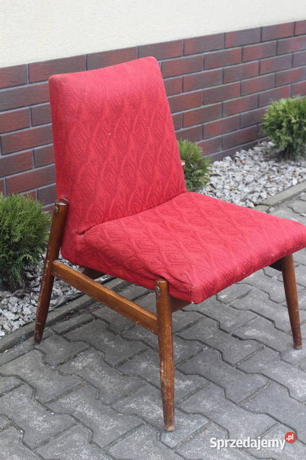 fotel Celia 300227 Kalisz