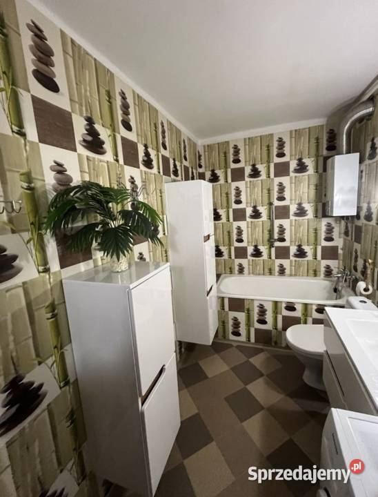 Mieszkanie do wynajęcia RybnikNowiny Nieruchomości