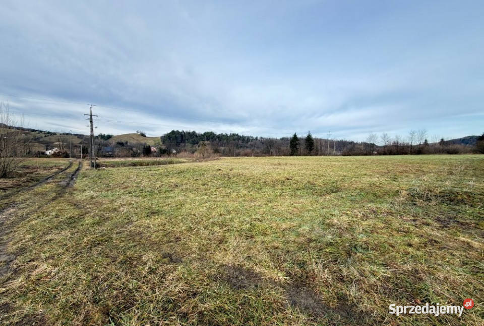 Grunt Zahoczewie 4006m2