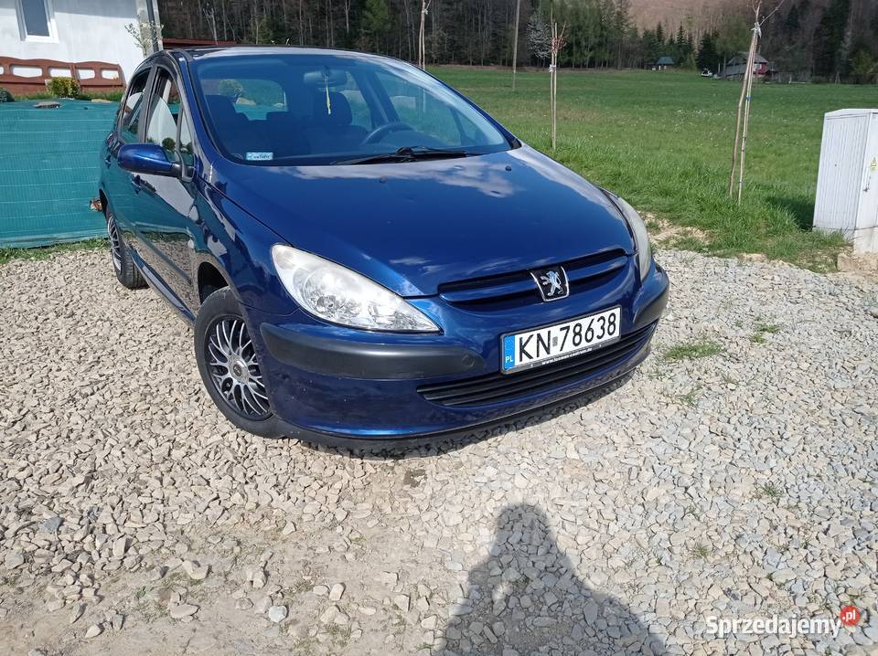 Peugeot 307 16 benzyna 169 Przebiegu Grybów