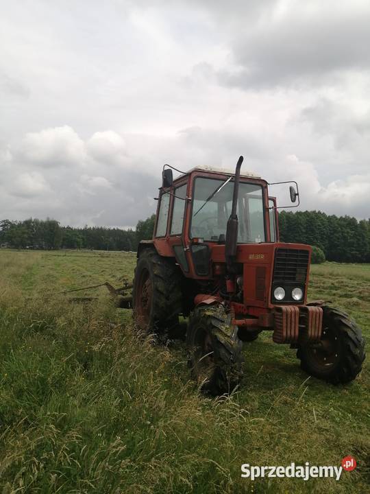 MTZ 55 Belarus nieuszkodzony Jednorożec