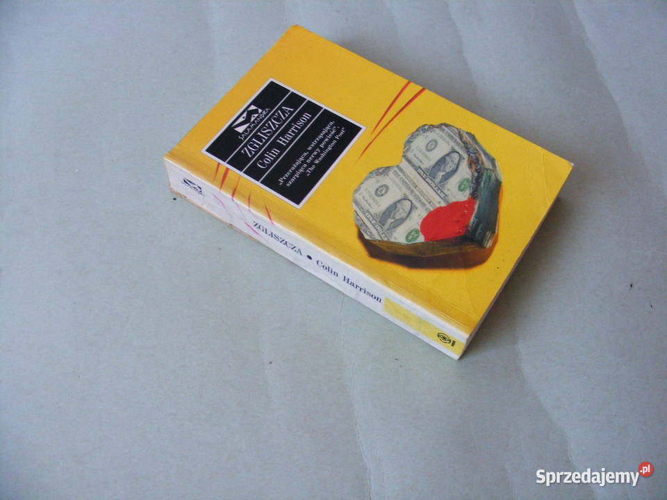 Zgliszcza Harrison Pejzaż w kolorze sepii Oborniki Śląskie