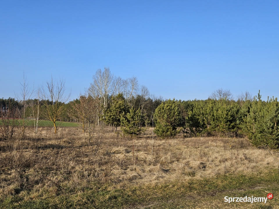 Działka rekreacyjna 1500m mazowieckie Stary Strachocin