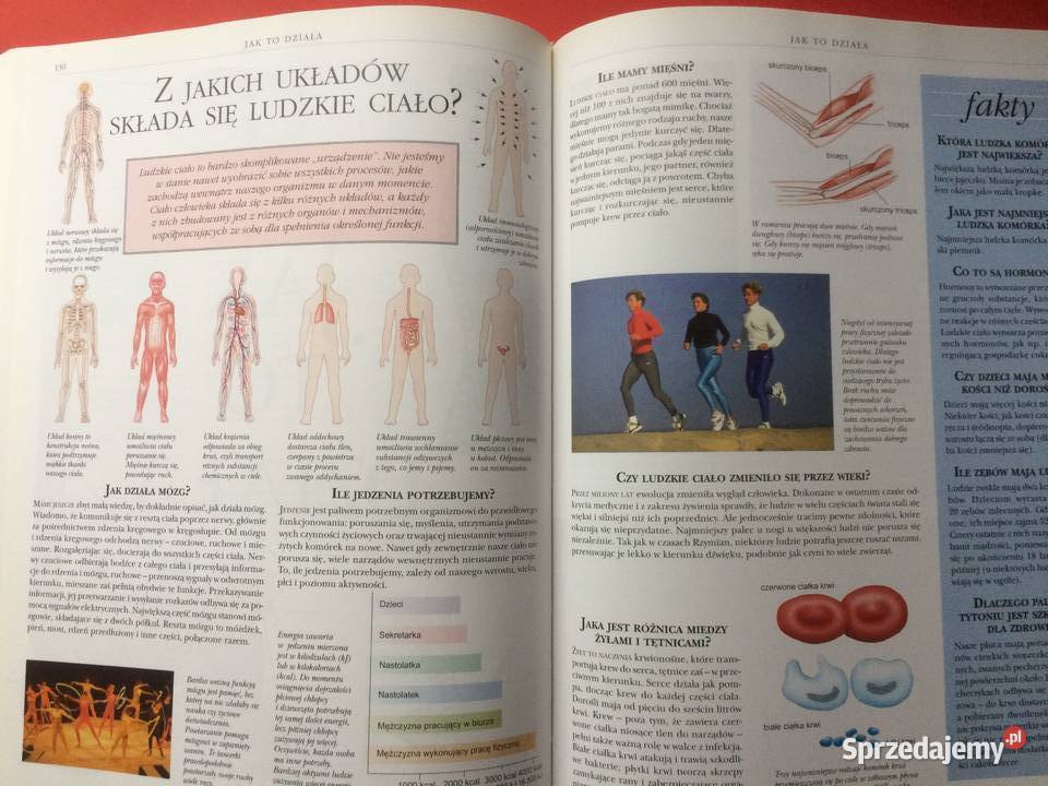 3126 Encyklopedia Szkolna Szczecin