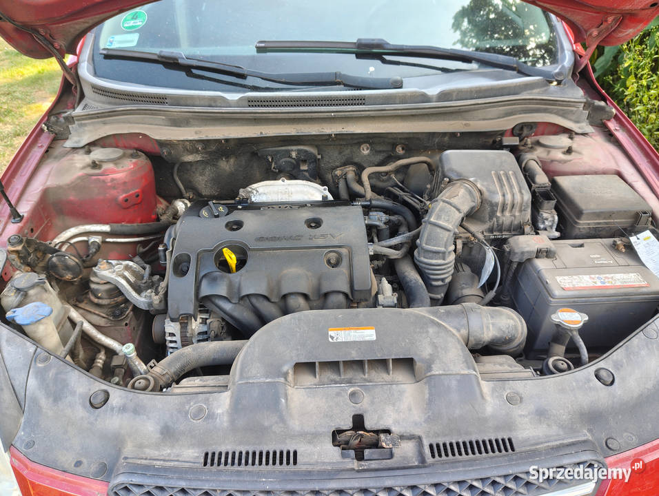 Kia Ceed 2007 Hatchback Cee'd Sośnie