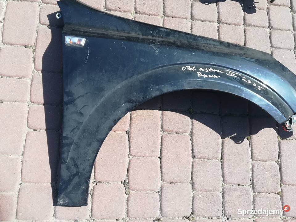 Blotnik Opel Astra 2006 Wola Raniżowska