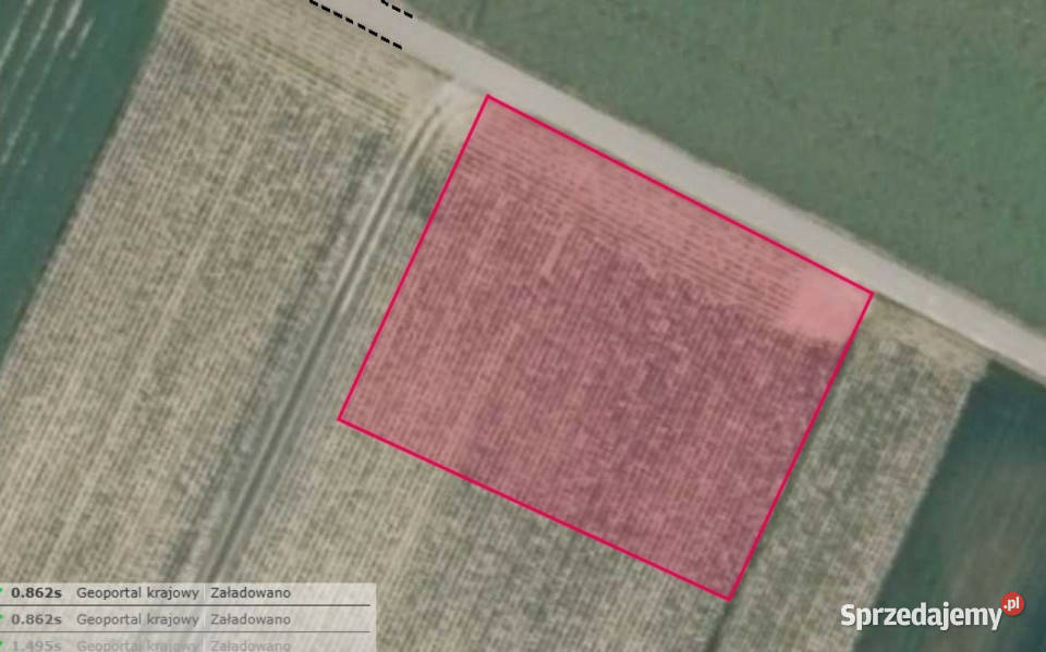 Działka Palikije Drugie 1800m2