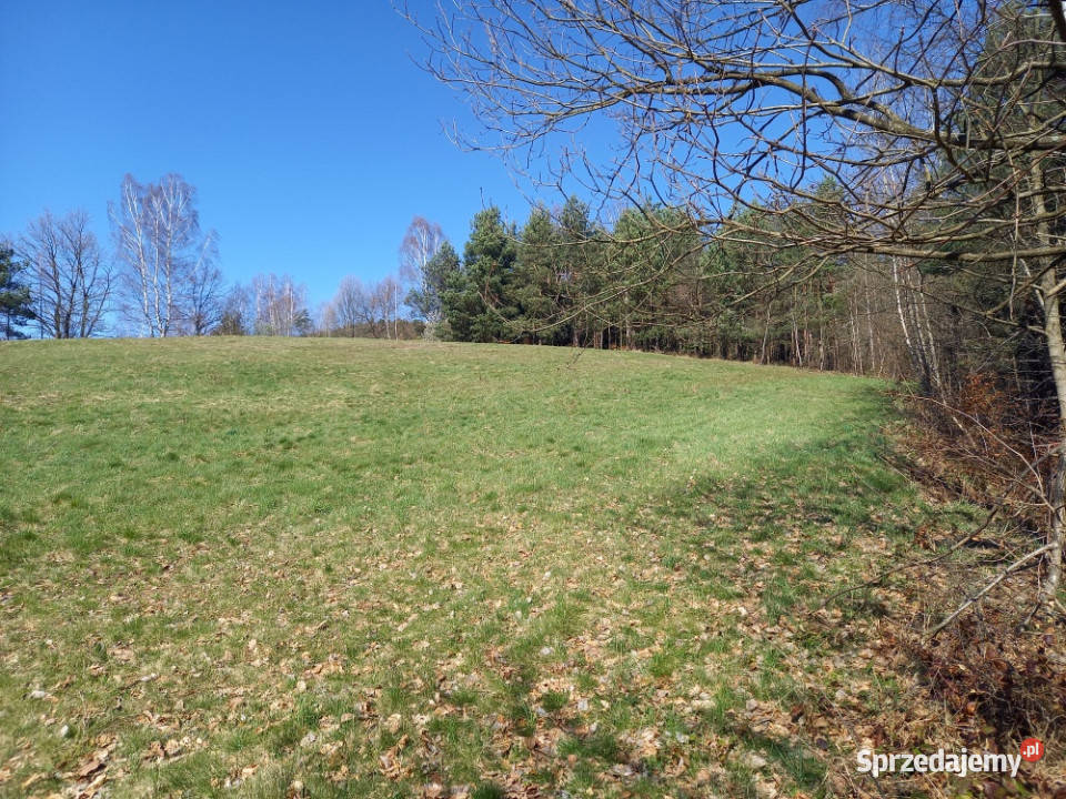 Na sprzedaż działka w Sanoku w dzielnicy Sanok