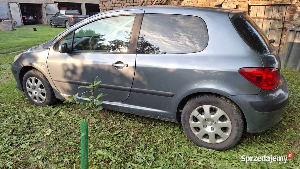 Peugeot 307 14 2005