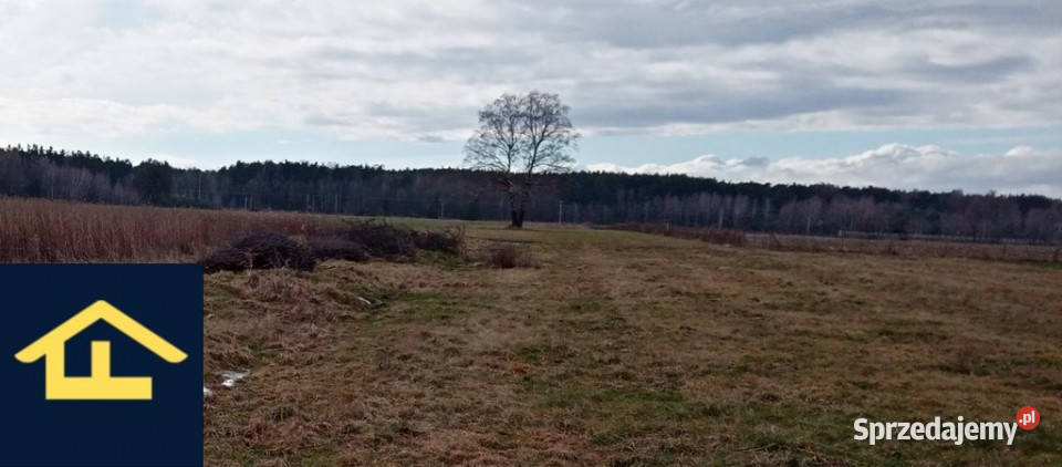 Działka w Chrośnie gmina Kołbiel Chrosna