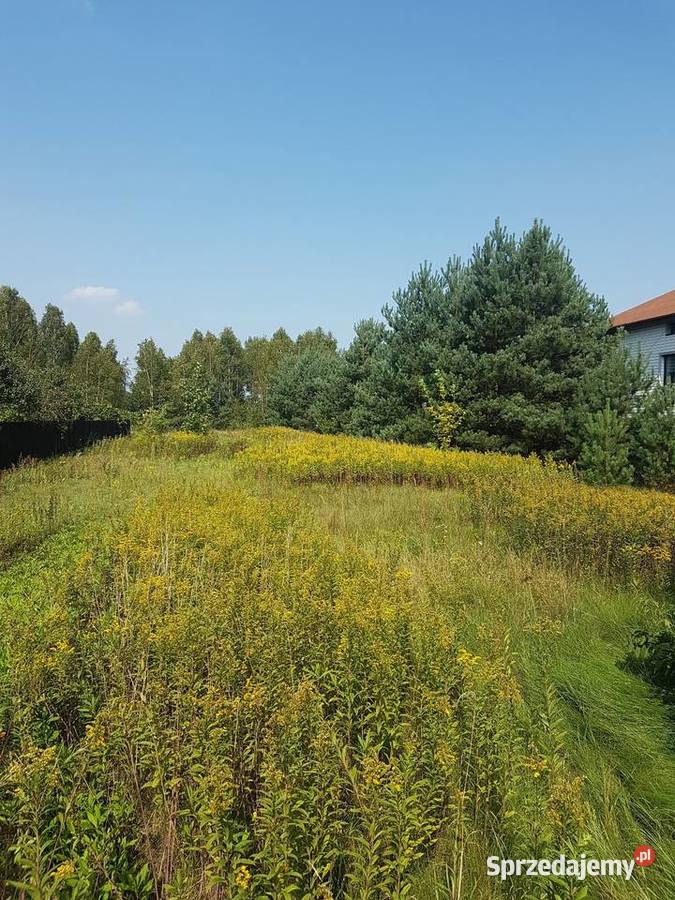 Działka budowlanorolna Prusicko