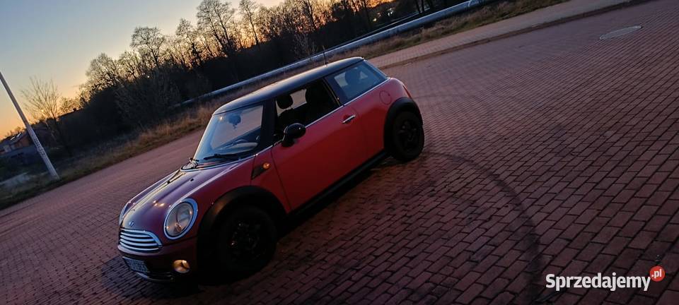 Sprzedam Mini Turek