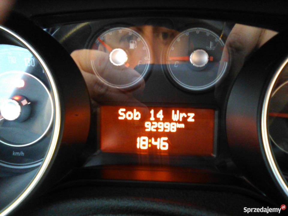 Fiat Punto Stan perfekcyjny Hatchback