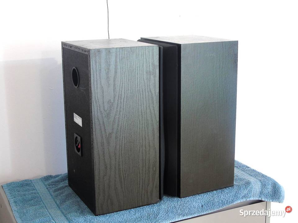 Kolumny Sony SSA509 mocne 2 x 100 wat DOSTAWA Jasło sprzedam