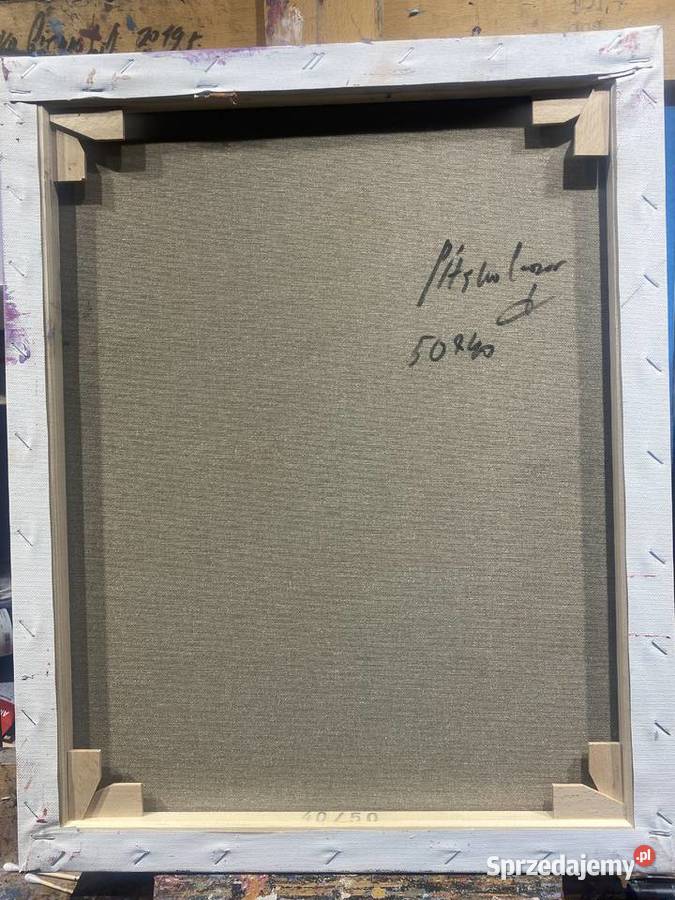 Pitsko Giennadij Kolorowe iluzje 50x40 Rumia sprzedam