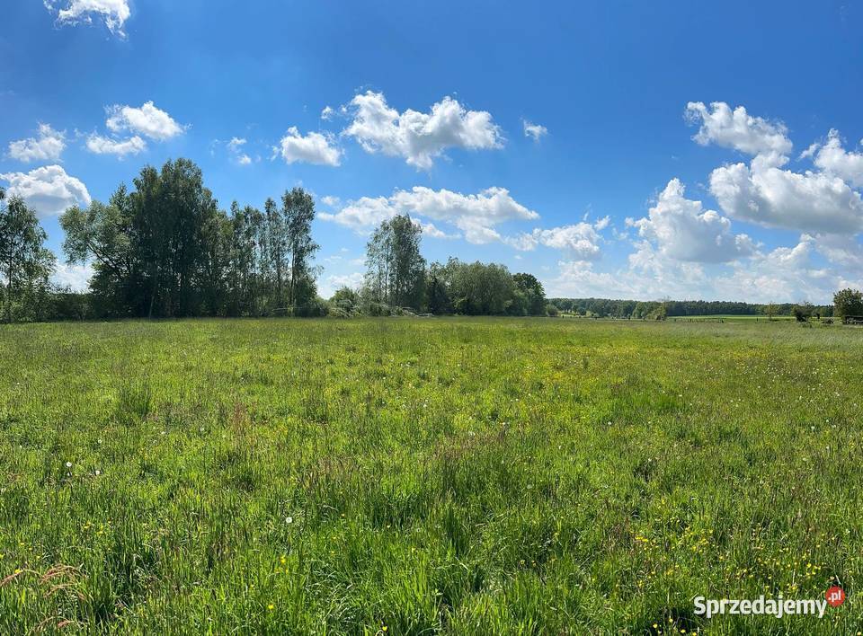 Działka budowlana drodze asfaltowej Zdziechowice