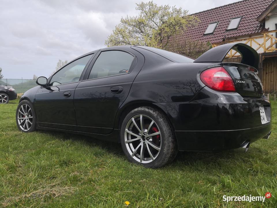 Neon SRT4 benzyna Słupsk