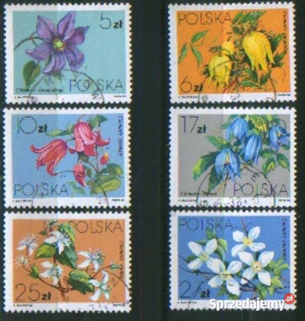 Zn Fi wykaz w opisie kas 1984 Gliwice sprzedam