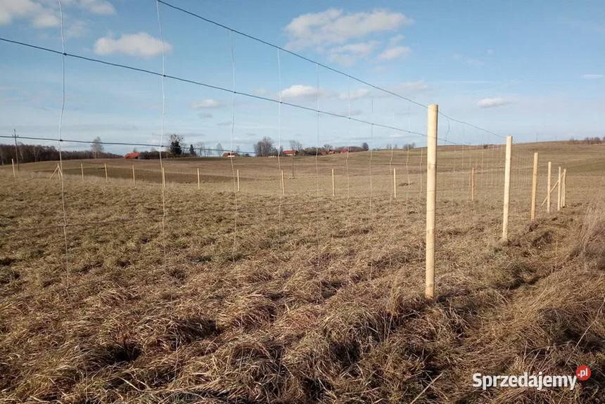 Ogrodzenia z siatki panelowe leśne bramy furtki Olsztyn