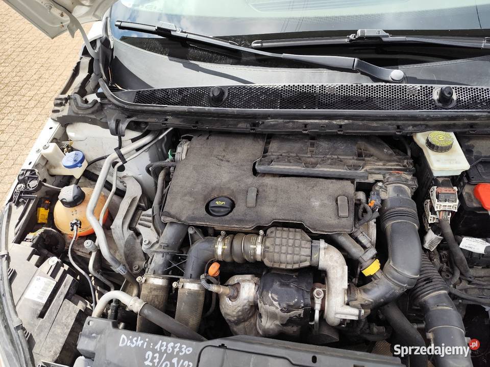 Peugeot 308 Pępice