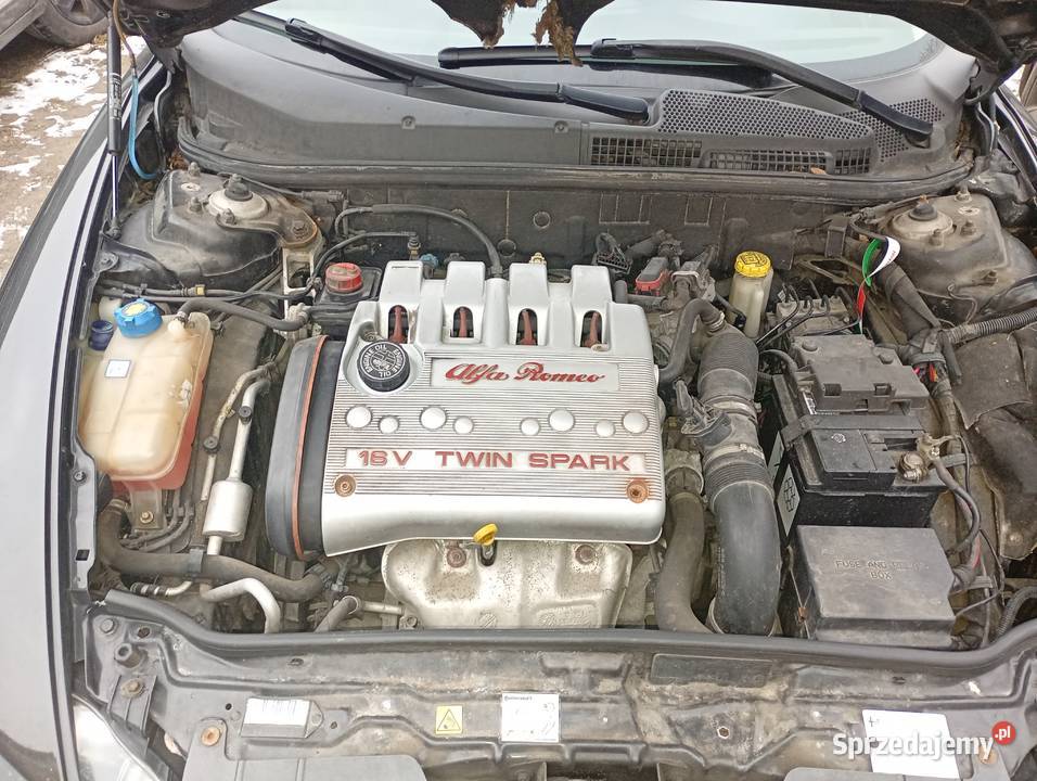 Alfa Romeo benzyna Kwiatów