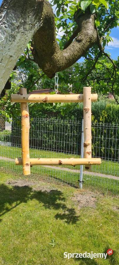 Brzozowa huśtawka większych papug Ruda Śląska